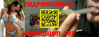 трава Кимры