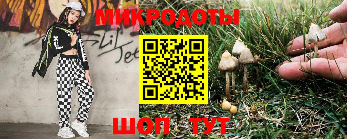 Псилоцибиновые грибы Magic Shrooms  Вход с VPN  Кирово-Чепецк  Псилоцибиновые грибы Magic Shrooms 